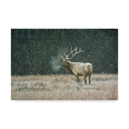 Ron Parker 'Early Snowfall' Canvas Art,22x32